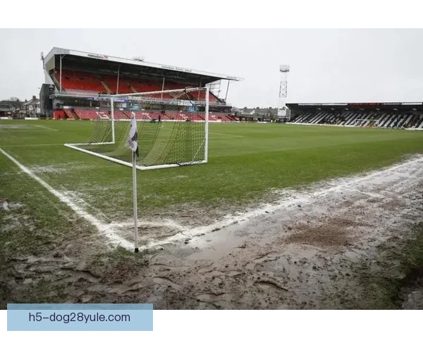 泥泞球场诺曼底 狼队杯赛遭吐槽