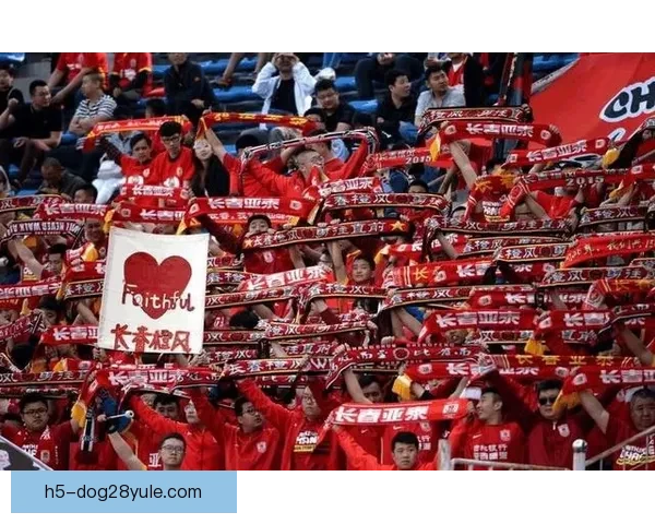 付出终迎今日球队好表现获认可